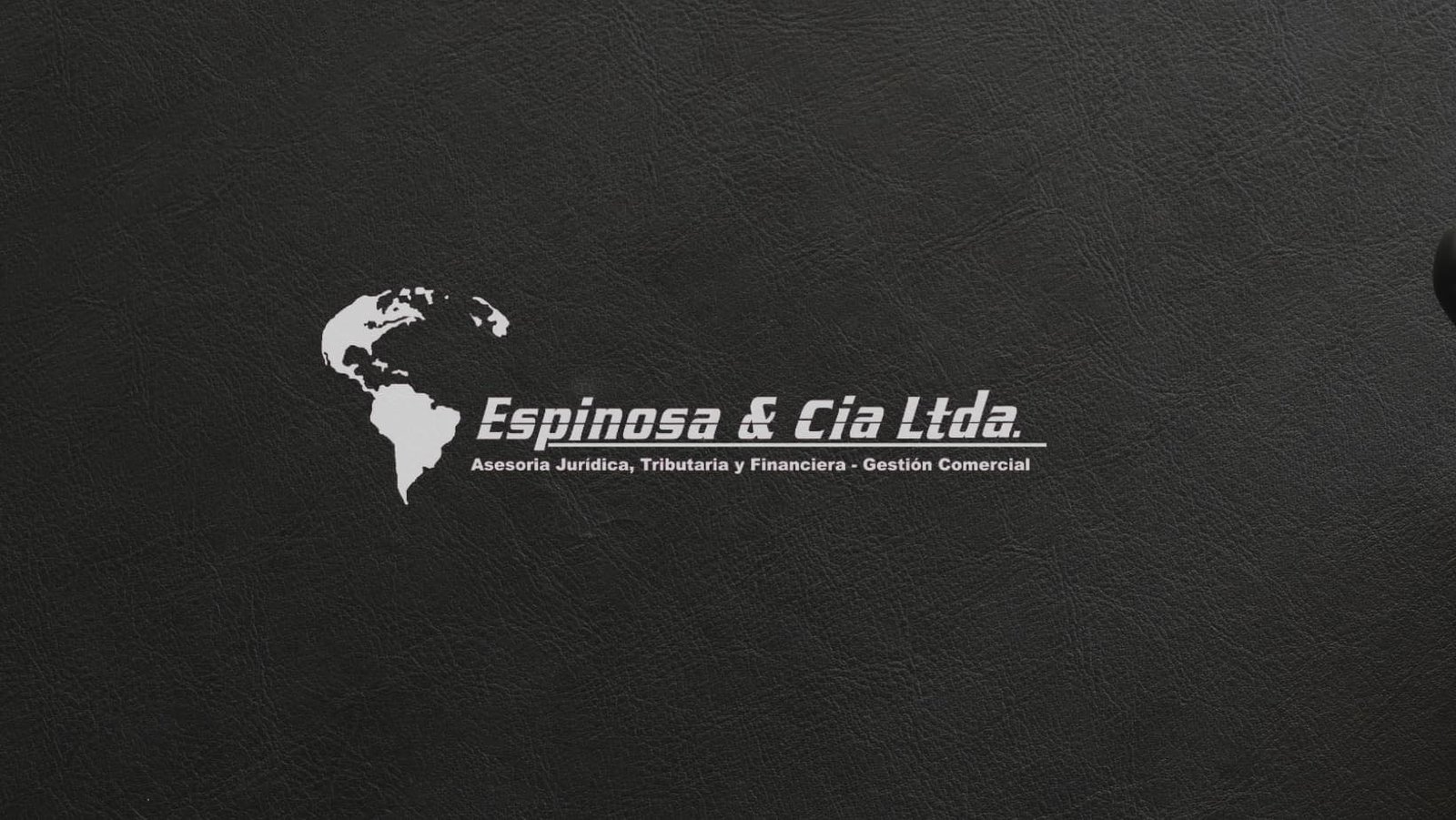 Logo Espinosa y Cía Talca